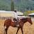 Horse for lease 1 thumbnail