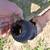 Priefert Poultry Litter Saver Pulverizer 6 thumbnail