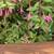 Decorative Wall Shelf, Vintage. Victorian Style, Real Wood 5 thumbnail