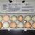 12 Fertilized Eggs from Mixed Chickens 1 thumbnail