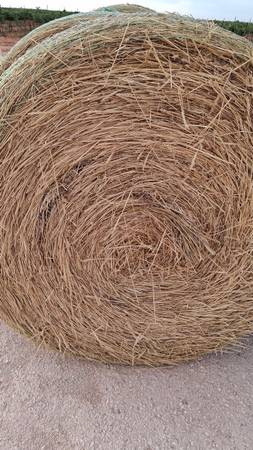 Beardless Wheat Bales 1