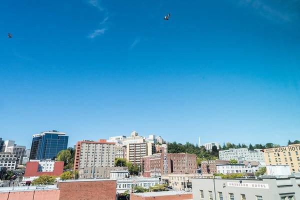 $2,295 / 1br - 777ft2 - Luxurious Living in the Heart of Seattle, 1 BR/1 BA (International District)63934549736195121