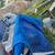 Bayliner Canopy For Big Cabin Cruiser 2 thumbnail