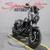 2016 Harley-Davidson Low Rider® S S Series 14 thumbnail