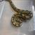 Ball Python 2 thumbnail