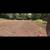 Tree services - tree removal-Bush hogging land clearing services 9 thumbnail