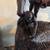 WOOD SCULPTURE 1985 - DON COLP ARTIST 5 thumbnail