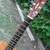 Cort Earth Grand OP Guitar SolidTop 11 thumbnail