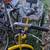 Adult tricycle 3 thumbnail