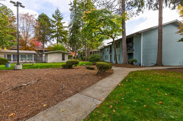 Playground, Internet Access, Electric Range 1