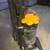 Dyson DC33- LIKE NEW CONDITION 4 thumbnail