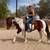 Bay gelding 7 thumbnail