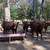 5 Red Angus Bulls 12 thumbnail