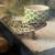 Leopard Gecko - Gator 2 thumbnail