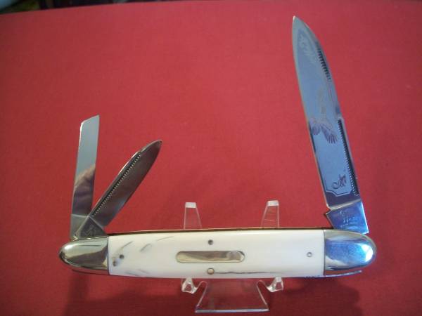 Rare Bull Dog Anglo-Saxon Whittler Ivory Pocket Knife 1