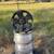 Moving Sale: Toyota OEM Aluminum Wheels 1 thumbnail