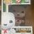 Funko POP! Stay Puft Marshmallow Man #109 Movies Ghostbuster & Box 1 thumbnail