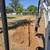 Mini Excavator Service - Specializing in Tight Access 15 thumbnail