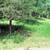 Vacant Lot on Wisconsin River 10 thumbnail