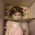 9 Collectable Dolls, still in original boxes 15 thumbnail