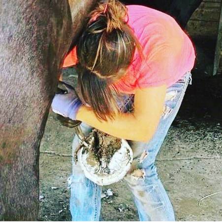 Farrier 1