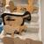 Sheep, Lamb, Sweater MDF Displays - Wool Shop or Sheep Farm 5 thumbnail
