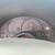 1998 Pontiac Firebird Coupe 2D V6 Turbo 3.8L 12 thumbnail
