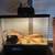 East African Spiny Tailed lizards 1 thumbnail