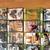 ONLY $10.00 EACH!! XBOX 360 Complete Games 4 thumbnail
