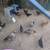 Gallinas Pullets / Hens  Updated September 28 2026    7 thumbnail