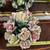 Two Capodimonte Porcelain Rose Basket Centerpieces 5 thumbnail
