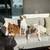 Experienced Dog Walker 🐶 Walks, Drop-Ins & More (North County) 8 thumbnail