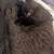 Cat 1 thumbnail