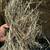 5x6 top quality cattle hay 4 thumbnail