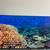 LG 65 inch 4K OLED TV 2 thumbnail
