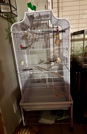 Bird cage 1