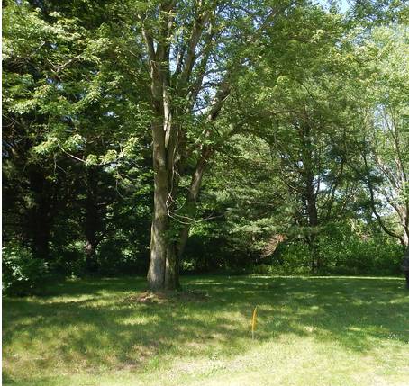$265 ***   Michigan Land Contract   *** (Benton Township)63660195934721122