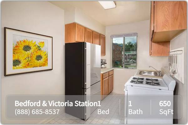 $1,025 / 1br - 650ft2 - Amazing 1 bed / 1 bath close to college campus! Check us out! (Hyattsville - Beltway Plaza Mall)64040360423810120