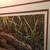 Audrey Casey Print  "Chipmunk on the Rocks" 1986 6 thumbnail