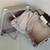 slightly used hard shell silver with beige interior luggage 3 thumbnail