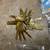1980s & 90s Bags Of Factory Gold Cadillac keys Pics Added 4 thumbnail