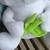Angel Cat Sugar 22” plush 2 thumbnail