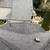 (Federal Way) affordable roofing replacements 10 thumbnail