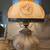 Vintage Lamps-“Gone With The Wind”, Manufacturer: Accurate Casting Co Inc. 2 thumbnail