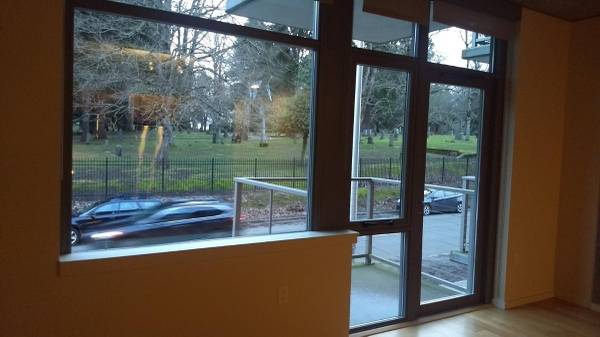 $1,975 / 1br - 707ft2 - Sniff-tested. Tail-wag approved. (Belmont)63831607283203120