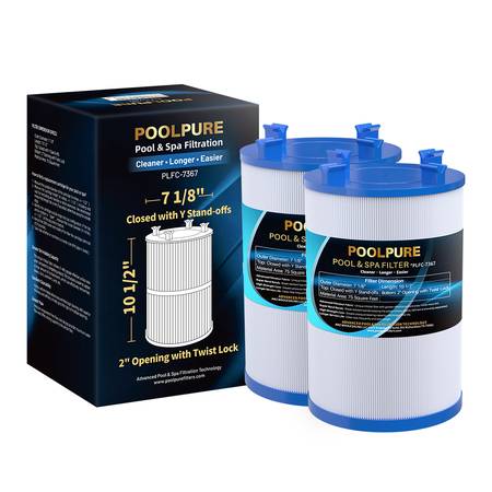 Pool and Spa Filter 1