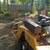 Stump Grinding and Yard Service's 6 thumbnail