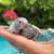 Baby parakeets 10 thumbnail