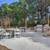 Starting at $1,450 / 3br - 1250ft2 - Beautiful 3 Beds 3 Full Baths! 5 thumbnail