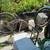 Mongoose all terrain mountain bike 1 thumbnail